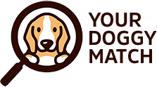Your Doggy Match
